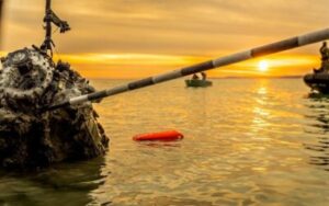 Aktuális híreink: Újabb és újabb leletek kerülnek elő a Balatonból, nem is gondolnánk, hogy ezúttal mi - videóval!