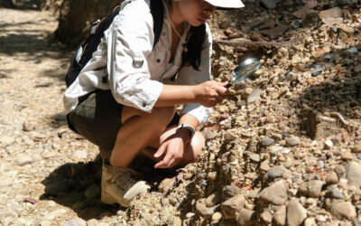 Aktuális híreink: Ki nem találnád, milyen kincsekre bukkantak a Balatonnál