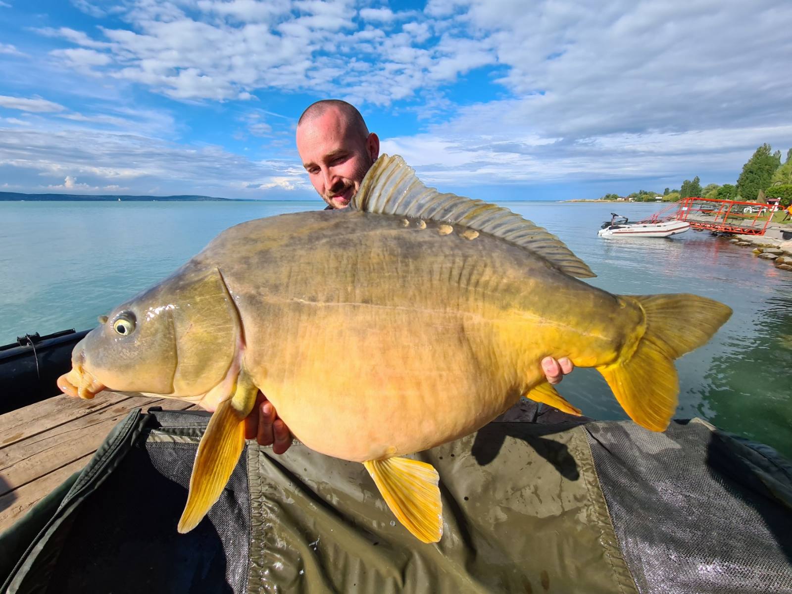 Rekord döntés akcióink